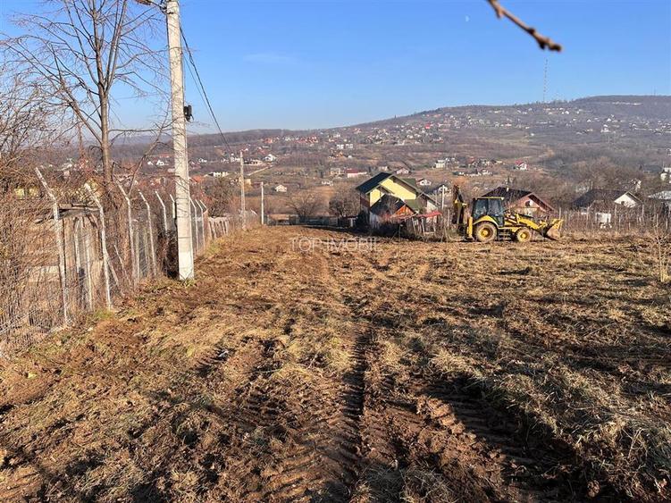 Teren Intravilan La Strada Principala - Barnova - 5