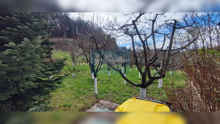 COMISION 0%! Casă 140 mp util, teren 4500 mp, PET FRIENDLY, Micești - 31