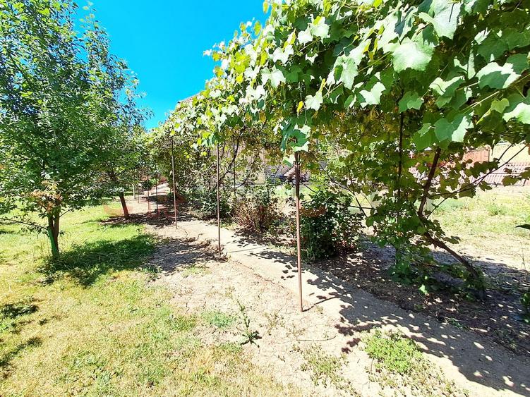 Casă individuală, grădină de vis, 1040mp, în Grigorescu!! - 10