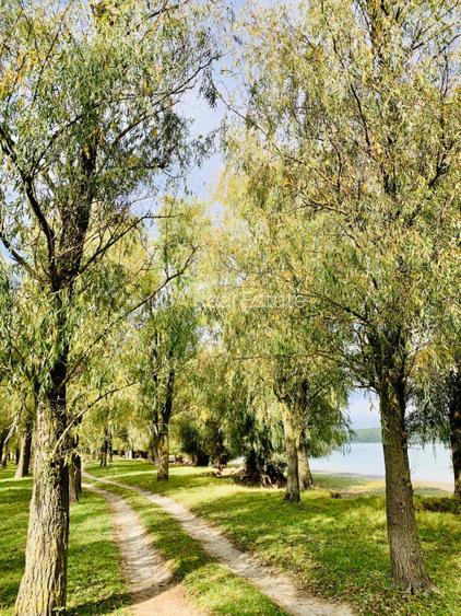 Mahmudia - teren intr o zona superba cu deschidere la apa - 2