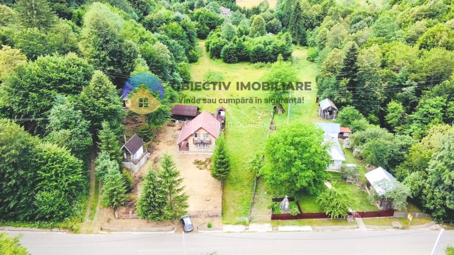 TEREN intravilan   8.000 mp TARCAU - 7