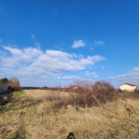 Teren cu deschidere lac Snagov Vladiceasca - 8