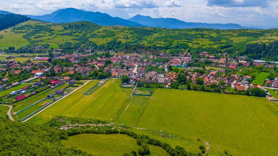 Teren 612mp Zizin / Strada Petofi Sandor - 8