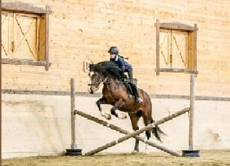 Apartamente de Vacanta - Rasnov Brasov - 18