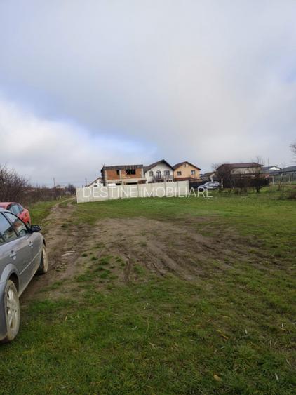 TEREN DE VANZARE DOMNESTI, 600 mp - 9