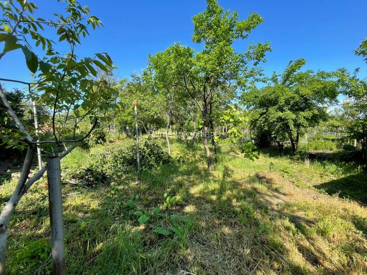 Casă individuală cu 3 dormitoare | teren 886 mp | Sebeș | Zona Ultracentrală - 4