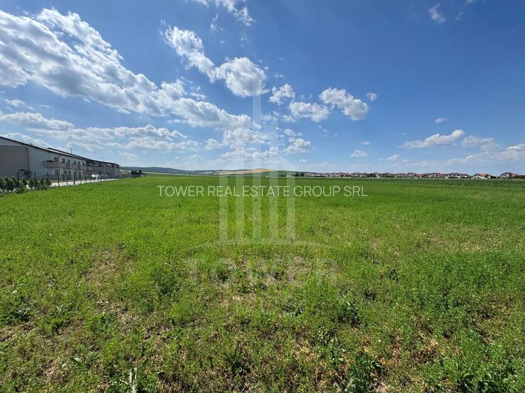 🌿 Teren 10.000 mp, Șura Mică – Ocna Sibiului | Investiție, COMISION 0% - 5