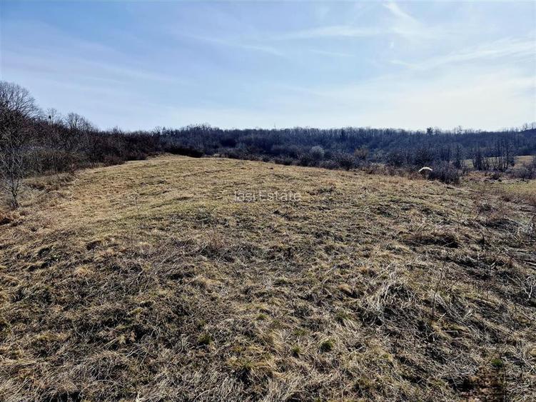 Teren cu vedere frumoasa - 4