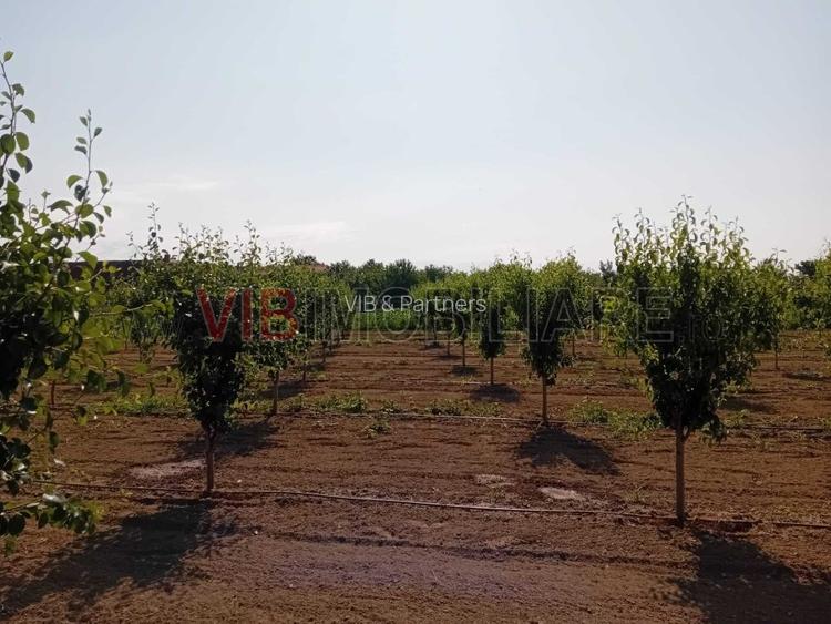 Teren intravilan 16.000 mp | Livadă mixtă | Front stradal 85 ml | Utilități comp - 3