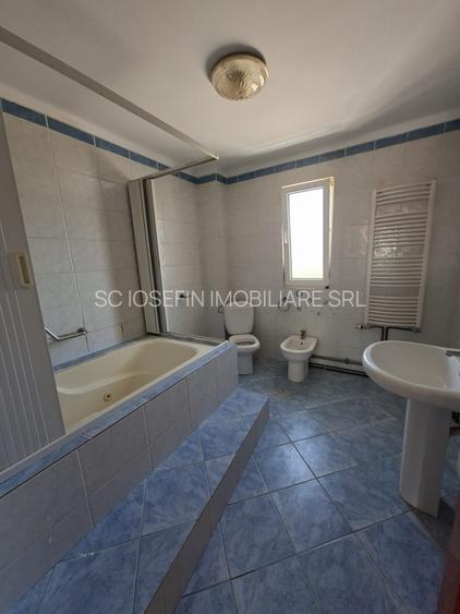 Dumbravita la intrare,  pentru locuit sau afacere - 5