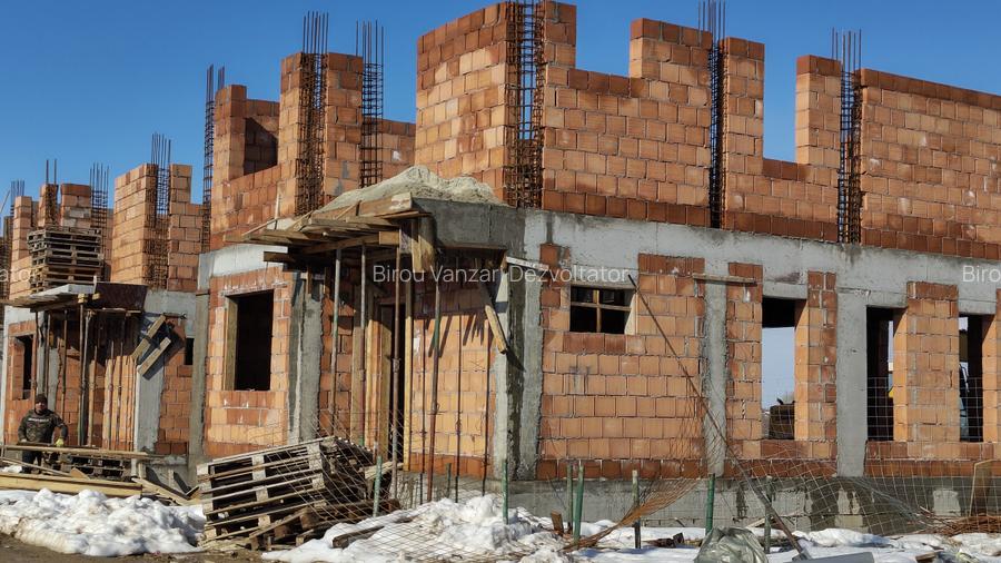 Vile individuale padurea Rosu - 5