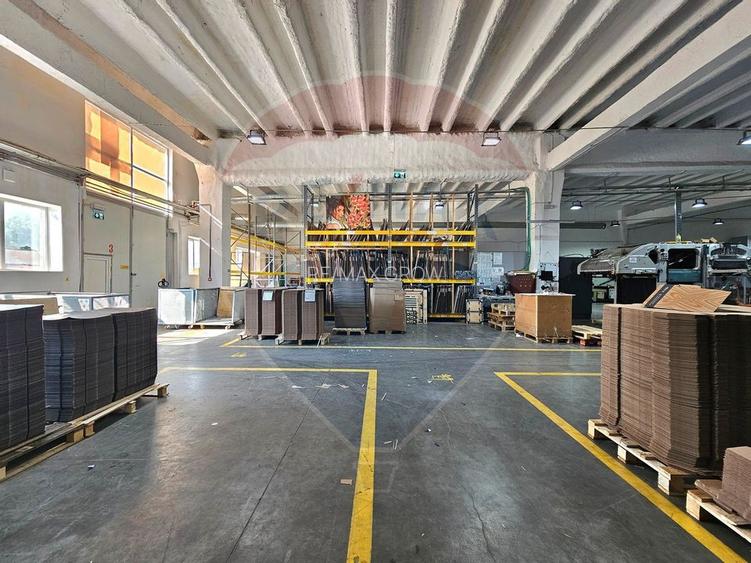 Hale Industriale 5065 mp de vanzare Str. Bradului - Bacau - 27
