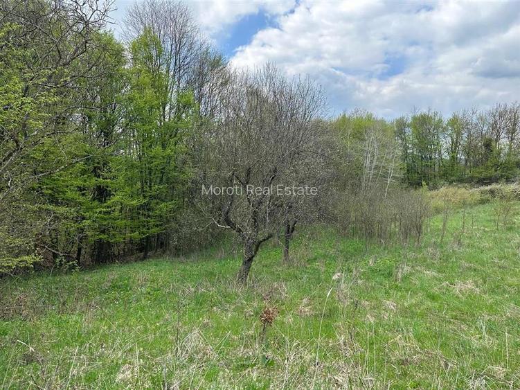 Terenuri extravilane in Luncoiu de Sus, Hunedoara - 3