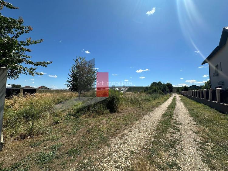 LOT 783 MP / OFERTA Teren Domnesti/ Teghes - 3