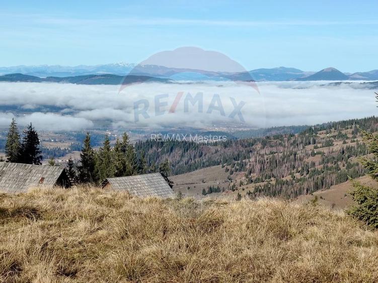 Teren 31,461mp Panaci / Prelungirea Ialovita - 11