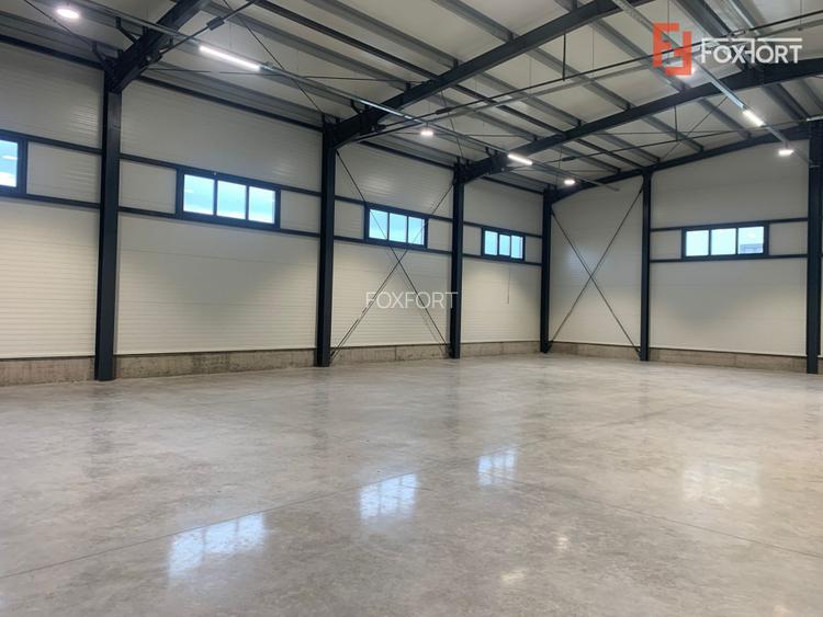 Hala industriala 500 mp + birouri, 1398 mp teren, acces TIR - Giarmata Vii - 28