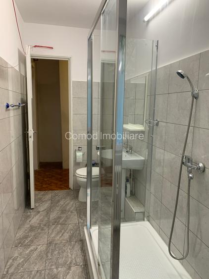 Garsoniera Teiul Doamnei - 5