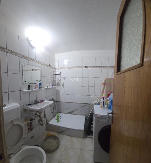 Teiul Doamnei Colentina - 6