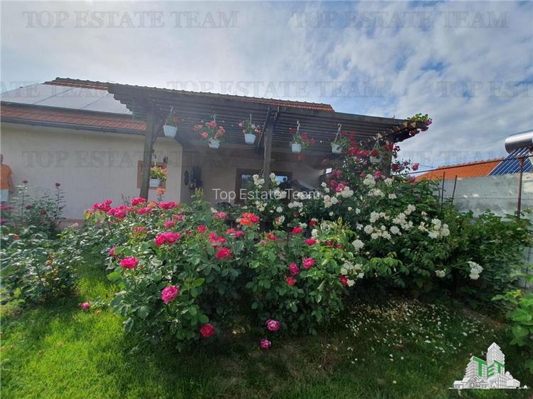 Casa dintre flori si rod cu energie verde  eleganta cu parfum de Mare Tuzla - 5