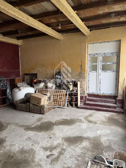 Casă unifamilială în Remetea Mare  cu teren de 3383 mp. - 11