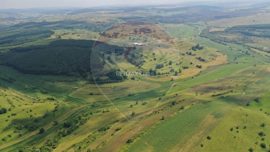 INVESTITIE REZILIENTA 300 HA Teren de vanzare in Zlagna Sibiu - 4