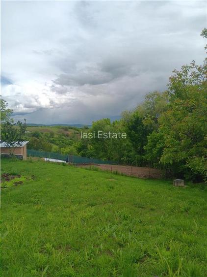 Ciurbesti Casa batraneasca cu TEREN 1347mp - 4