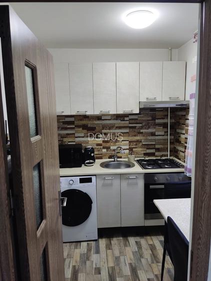 Garsoniera  LAPUS-ARGES/etaj 3/renovata /mobilata - 3