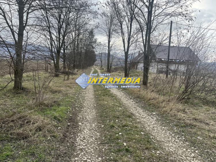 TEREN INTRAVILAN I 800 MP I IGHIU I LATIME 29 ML I IDEAL CASA SAU CABANA I - 2