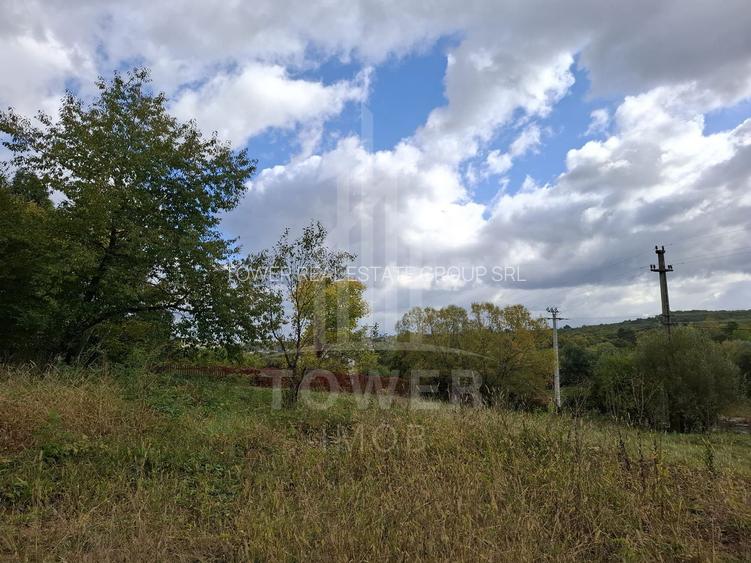 Teren intravilan cu Puz si priveliște deosebită, spre Cetatea Cisnădioara - 14