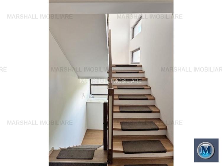 Spatiu  birouri de vanzare, zona Rudului, 269.9 mp #11861 - 16