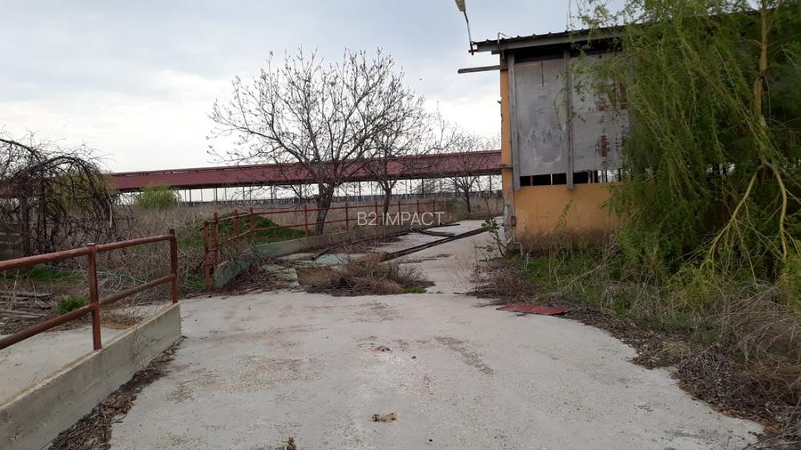 de vanzare Ferma Vaci - 10