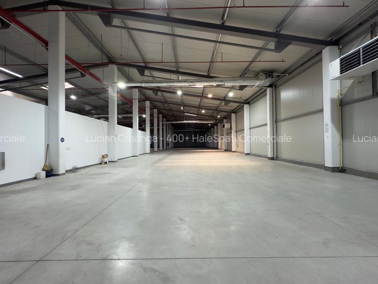 Hala cu climatizare, 1818mp, zona Metro - 12