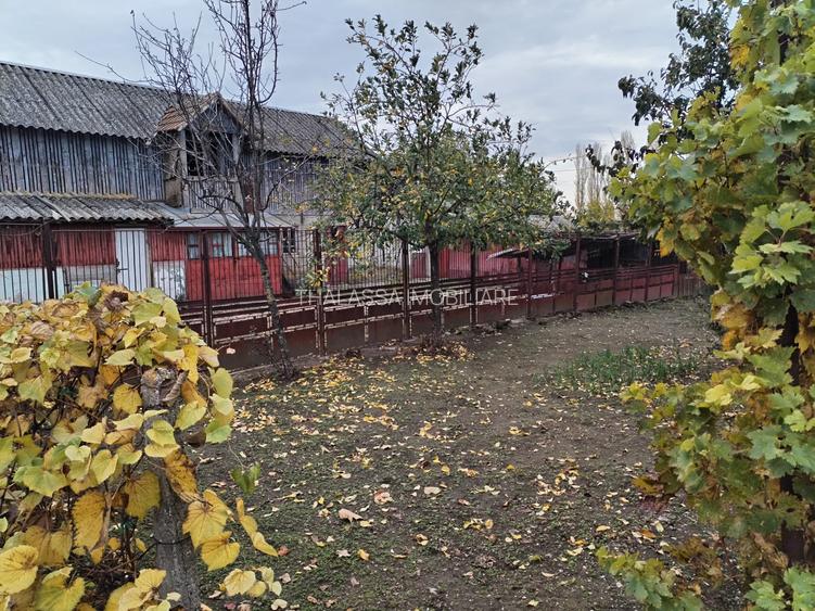 Casa cu teren -  central Segarcea - 15