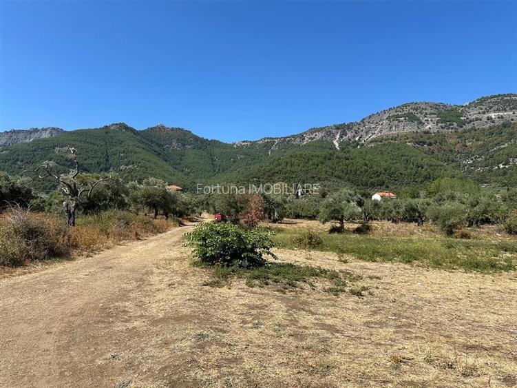Teren intravilan pe insula Thassos, aproape de plaja salbatica - 17