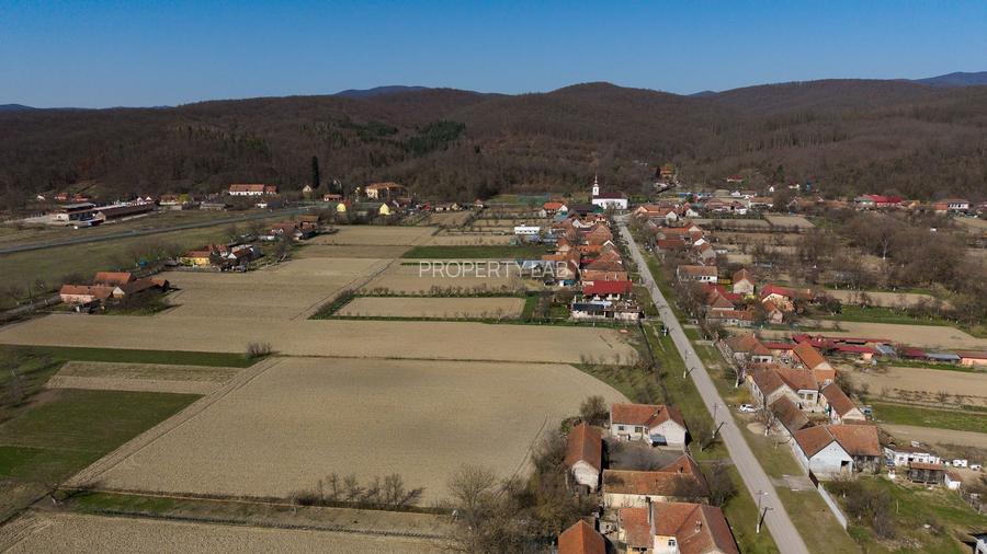 Loc de casă în Odvoș - Conop 3000mp - 7