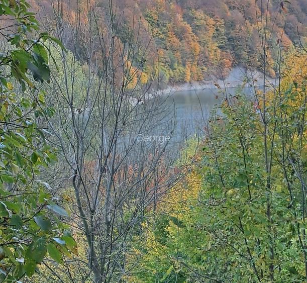 Vand teren cu vedere la lac, Valea Doftanei,Strada Lacului - 3