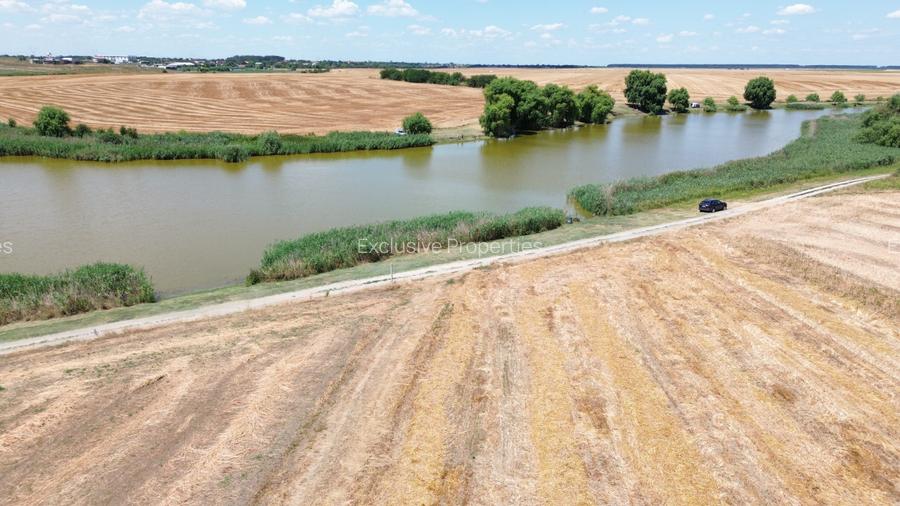 teren la lac Frumusani - 15