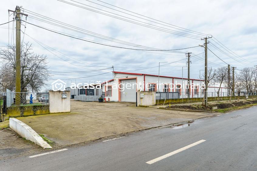 Hale depozitare/producție 2.000 mp si 10.000 mp teren în Pecica - 11