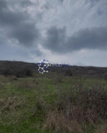Teren 2 ha Sorogari – deschidere la drum, oportunitate investiție Iași - 2