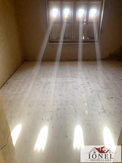 Casa de vanzare in comuna Sasciori cu 84.843 mp teren - 4