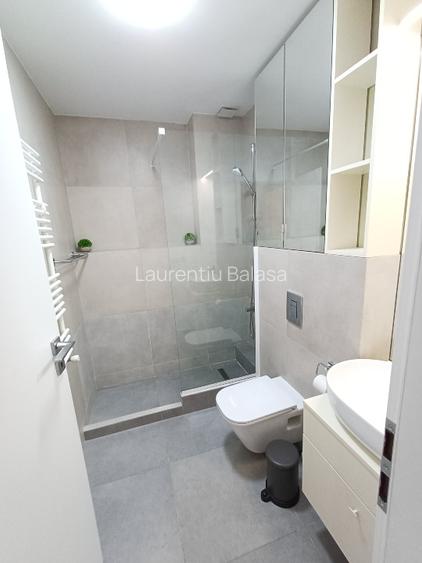 Apartament 2 camere  inchiriat, Aviatiei, Sold. Gheorghe Pripu direct proprietar - 4