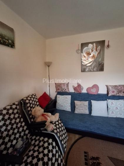 CASA INDIVIDUALA  in sat VLADICENI com. TOMESTI - 19