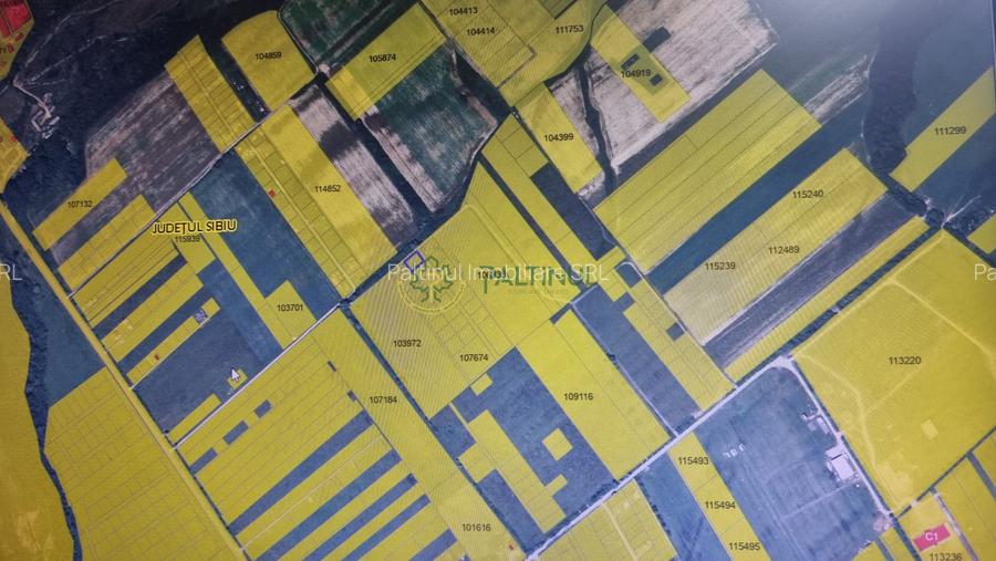 Teren de vânzare în Calea Cisnădiei, Sibiu – 550 mp, PUZ aprobat, vedere superbă - 6