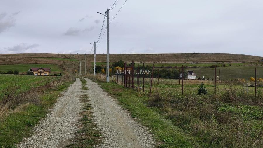 VÂNZARE LOTURI TEREN 750 mp - 5