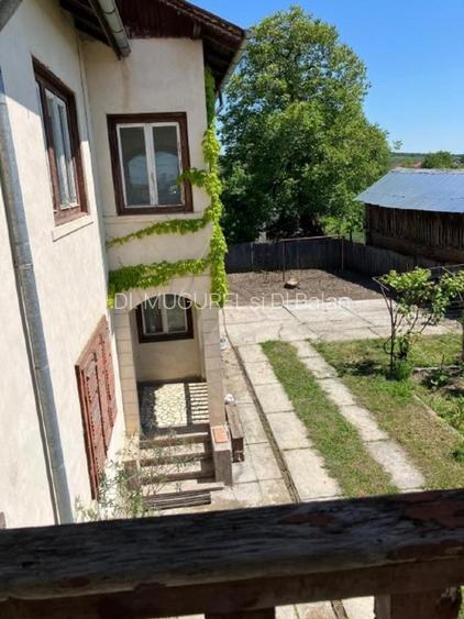  Oportunitate ideală de investiție și locuit– Casă, curte și livadă pe 1800 mp - 3