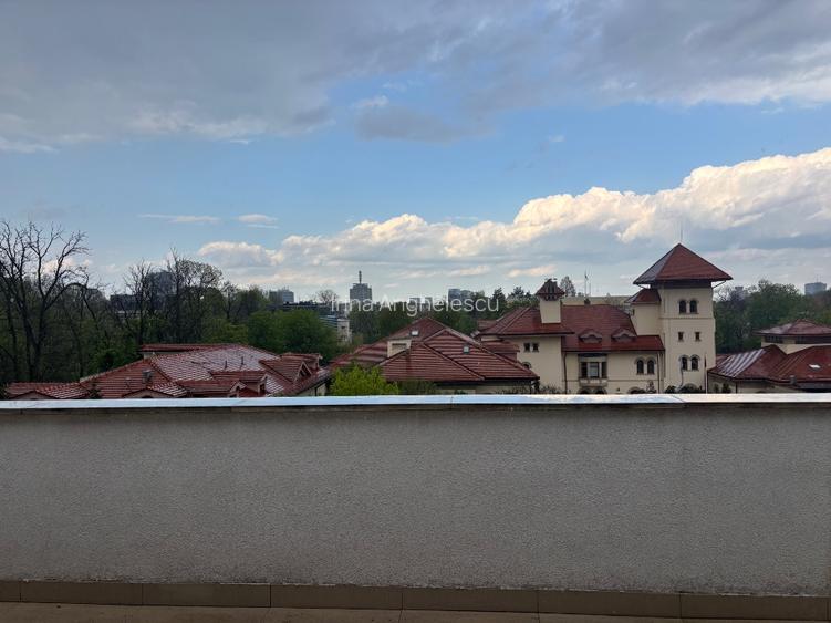 Kiseleff, proprietar vand penthouse cu vedere panoramica  - 9