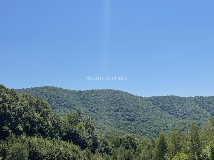Teren Extravilan în mijlocul naturii. - 11