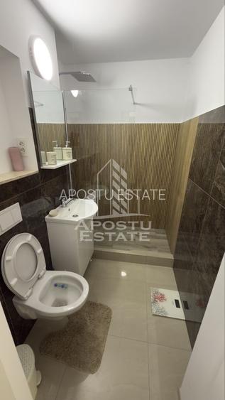 Apartament 2 camere, zona Garii Timisoara - 9