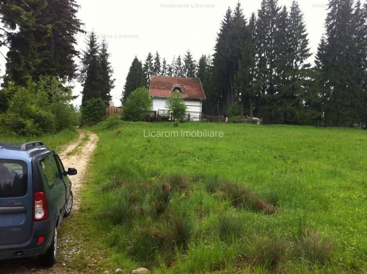 Teren intravilan Cotul Donului,pretabil Hotel/pensiune. - 18