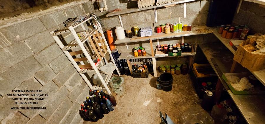 Proprietate com.D-va Rosie,Vila P+E,teren si livada, in cadru natural atractiv - 13